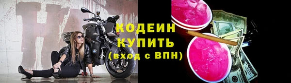 хмурый Арсеньев