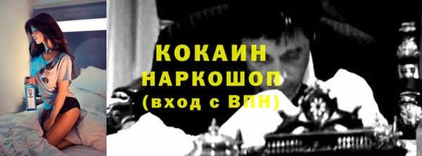 хмурый Арсеньев