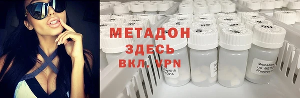 гидра Инта