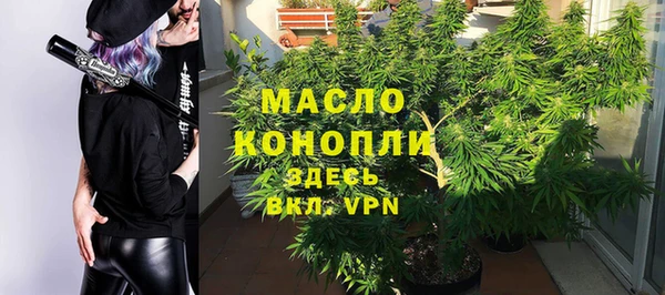 хмурый Арсеньев