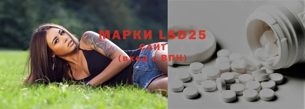 хмурый Арсеньев