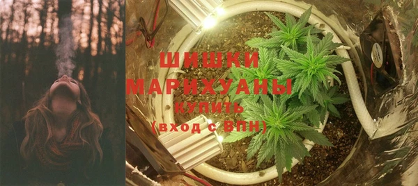 хмурый Арсеньев
