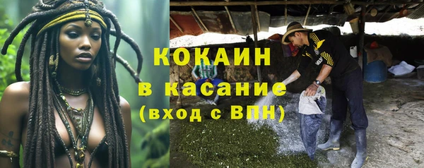 хмурый Арсеньев