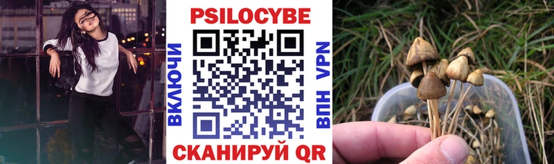 Псилоцибиновые грибы Magic Shrooms  Новоалтайск 