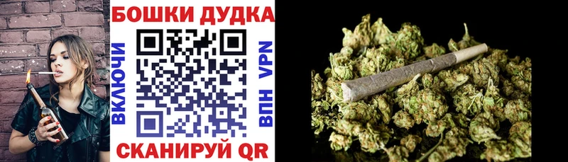 закладки Новоалтайск Шишки марихуана план